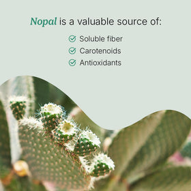 Flacon de 120 capsules de cactus Nopal Santo Remedio