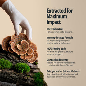 Flacon de 120 capsules de champignon Turkey Tail FreshCap sur fond blanc