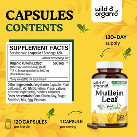 Flacon de 120 capsules de molène Wild & Organic