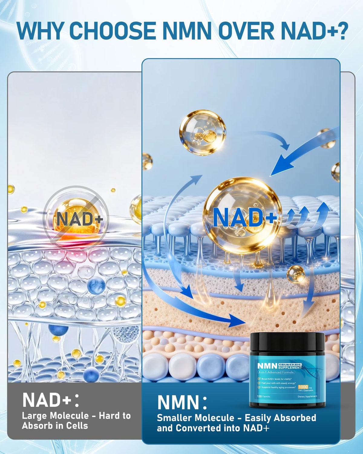 Flacon de 120 capsules de NMN 1000mg SRUKEARIE