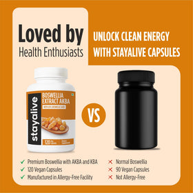 Flacon de 120 capsules STAY ALIVE Boswellia Serrata