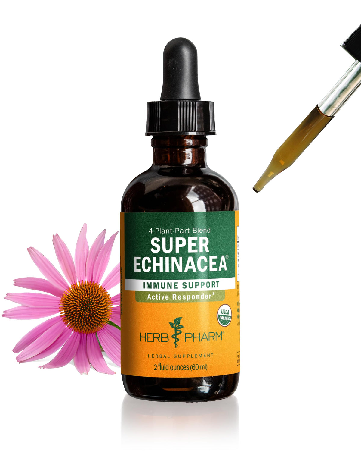 Flacon de 2 oz d'extrait liquide Super Echinacea Herb Pharm avec étiquette bio