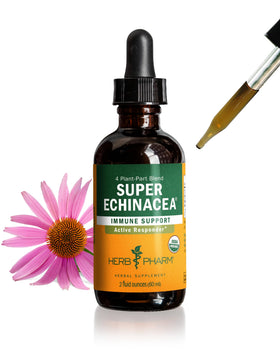Flacon de 2 oz d'extrait liquide Super Echinacea Herb Pharm avec étiquette bio