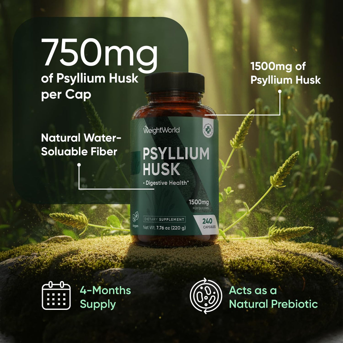 Flacon de 240 capsules de psyllium WeightWorld, étiquette visible