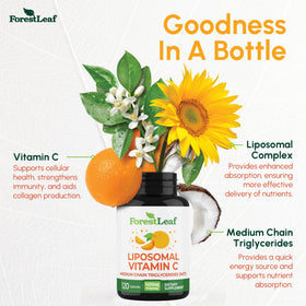 Flacon de 240 capsules véganes de vitamine C ForestLeaf