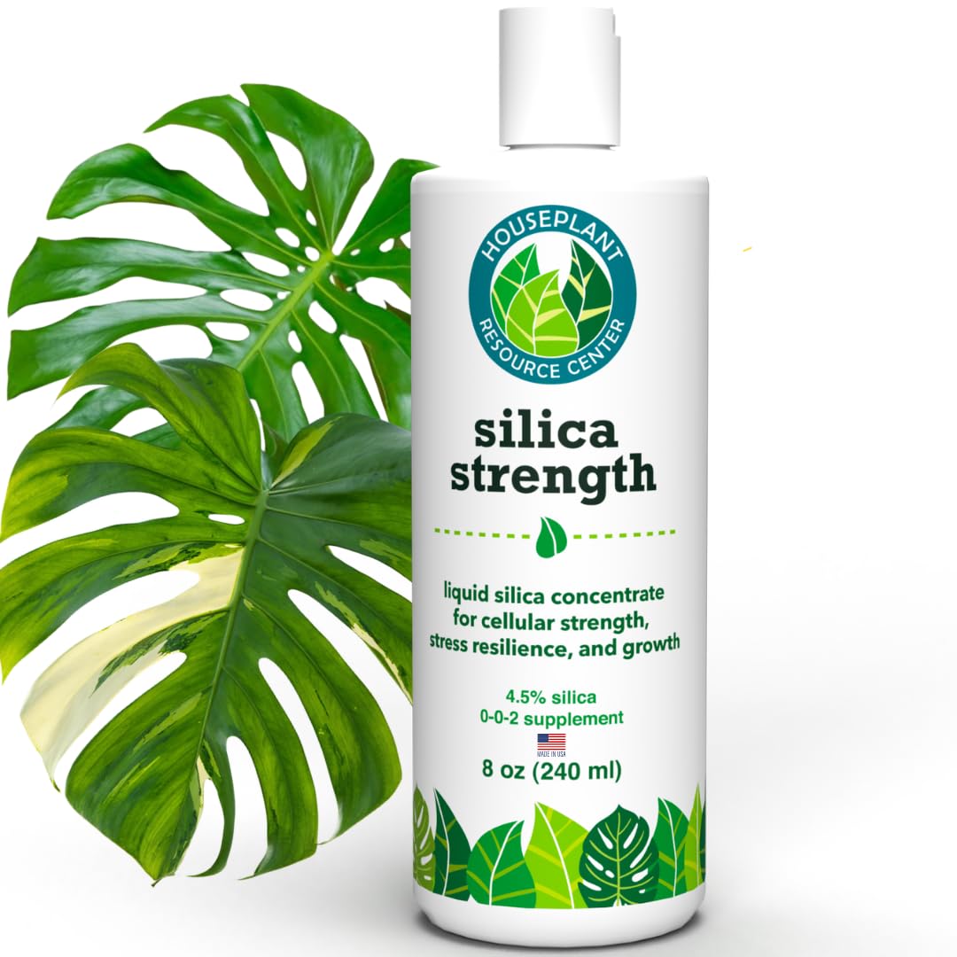 Flacon de 240 ml de complément alimentaire de silice 4,5%