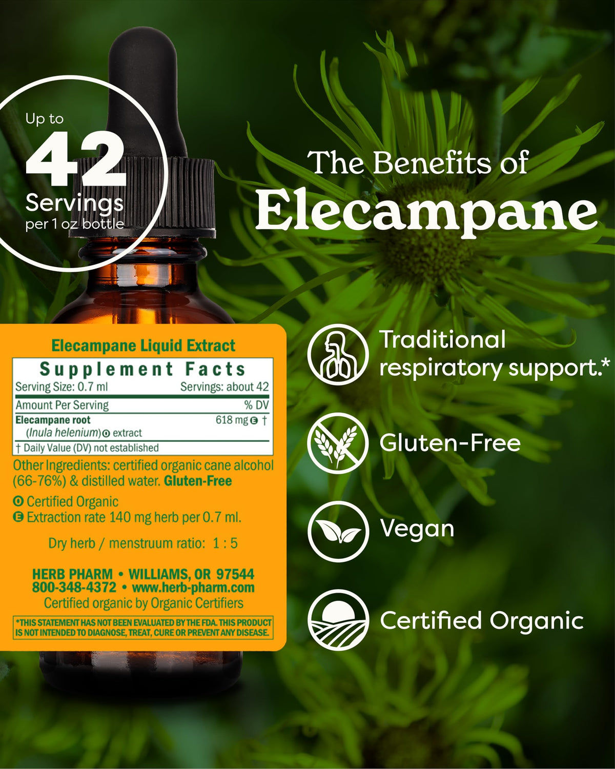 Flacon de 30 ml d'extrait d'élecampane Herb Pharm avec étiquette