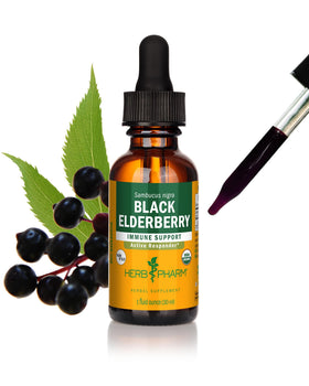 Flacon de 30 ml d'extrait liquide de baies de sureau noir Herb Pharm