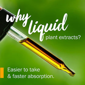 Flacon de 30 ml d'extrait liquide de fleurs de lavande Herb Pharm