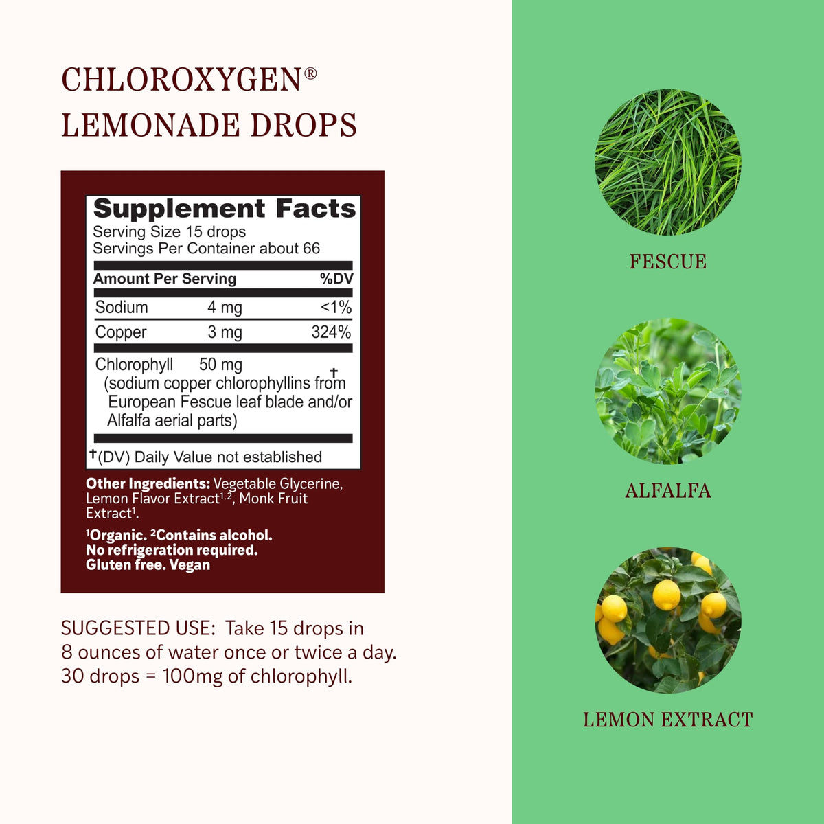Flacon de 30 ml de concentré de chlorophylle au citron sur un fond blanc