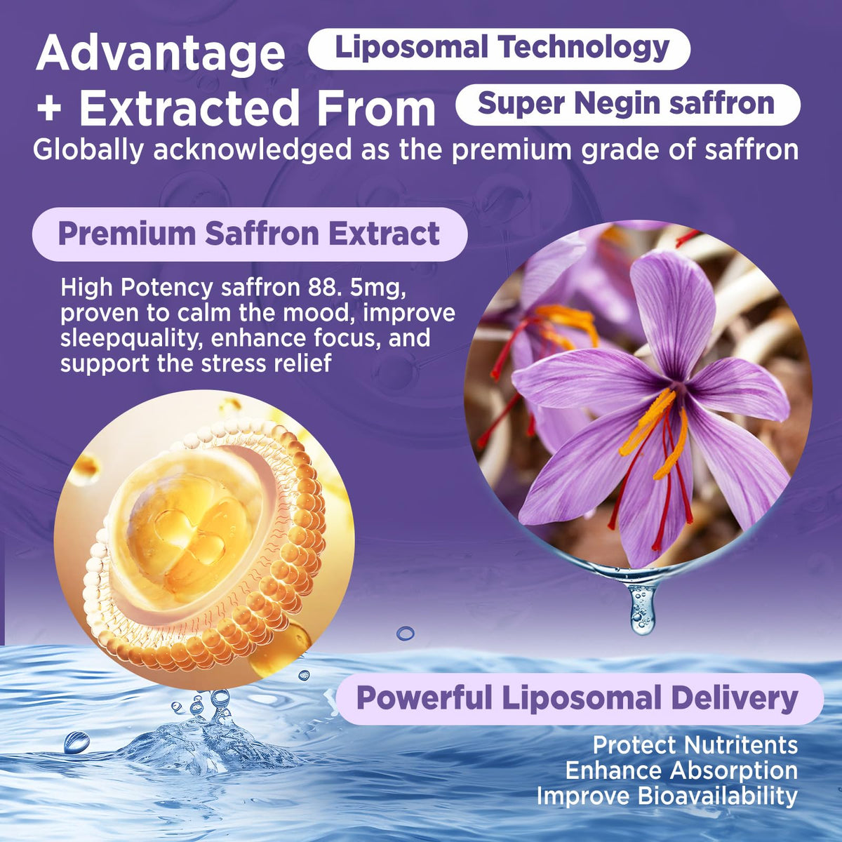 Flacon de 308g de gouttes de safran liposomales HOLLEGEND