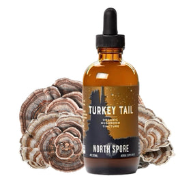 Flacon de 4 oz de Tincture de Champignon Turkey Tail de North Spore