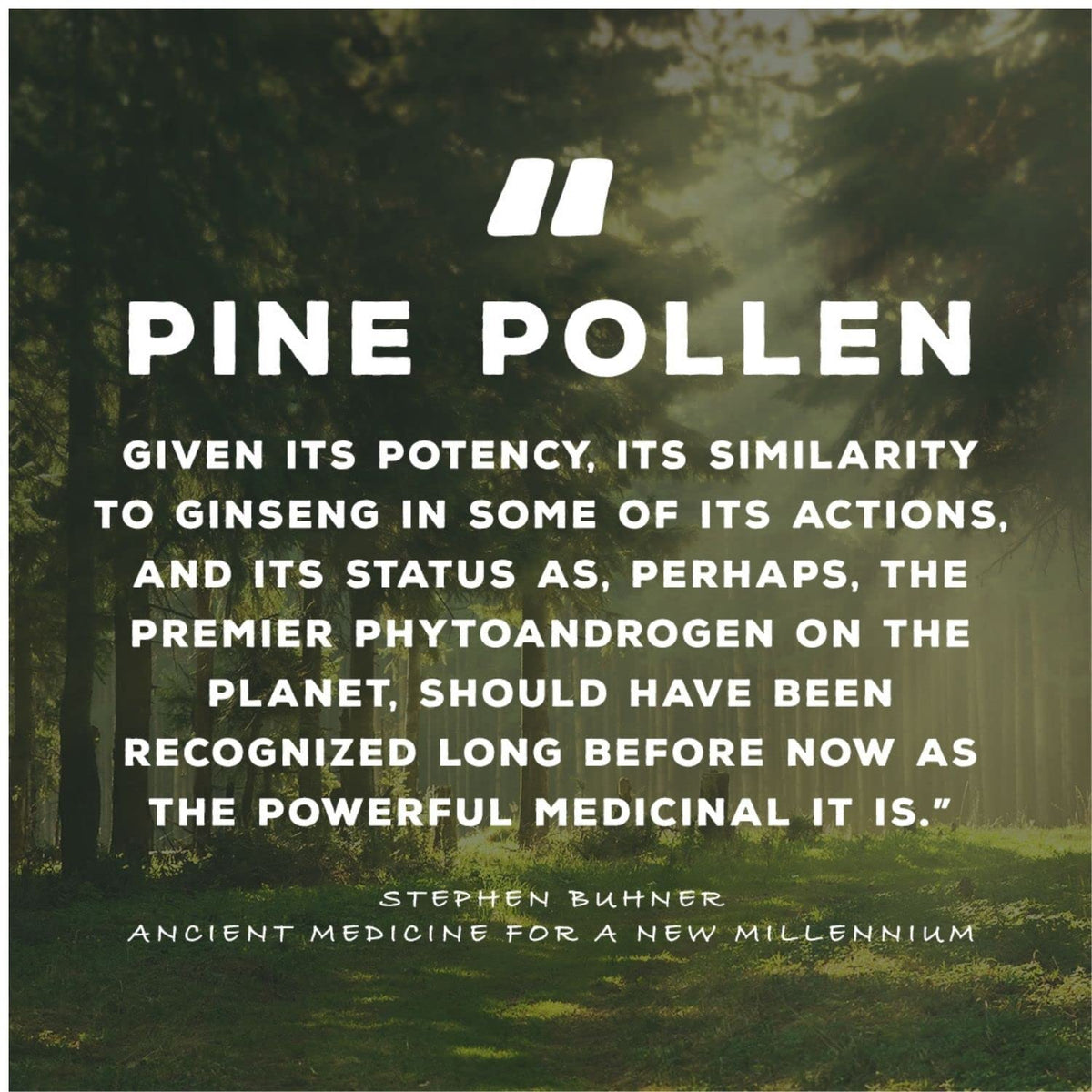 Flacon de 50 ml d'extrait pur de pollen de pin Surthrival sur une table en bois