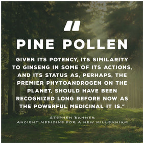 Flacon de 50 ml d'extrait pur de pollen de pin Surthrival sur une table en bois
