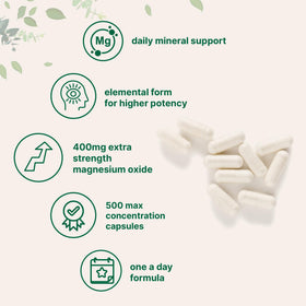 Flacon de 500 capsules de magnésium oxide Micro Ingredients sur fond blanc