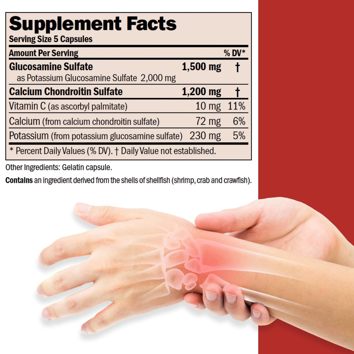 Flacon de 522g de capsules ANDREW LESSMAN Glucosamine et Chondroïtine