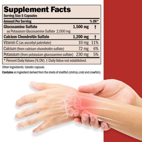 Flacon de 522g de capsules ANDREW LESSMAN Glucosamine et Chondroïtine