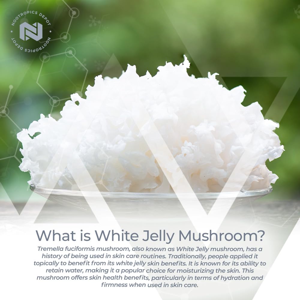 Flacon de 60 capsules de champignon Jelly Blanc Nootropics Depot