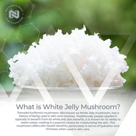 Flacon de 60 capsules de champignon Jelly Blanc Nootropics Depot