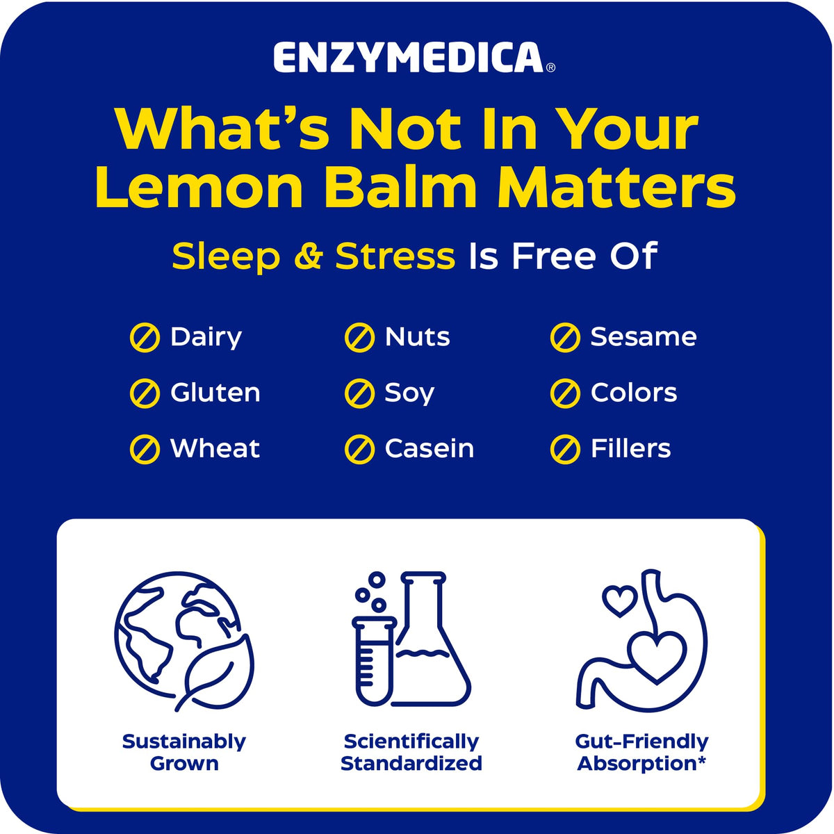 Flacon de 60 capsules de mélisse Enzymedica sur fond neutre