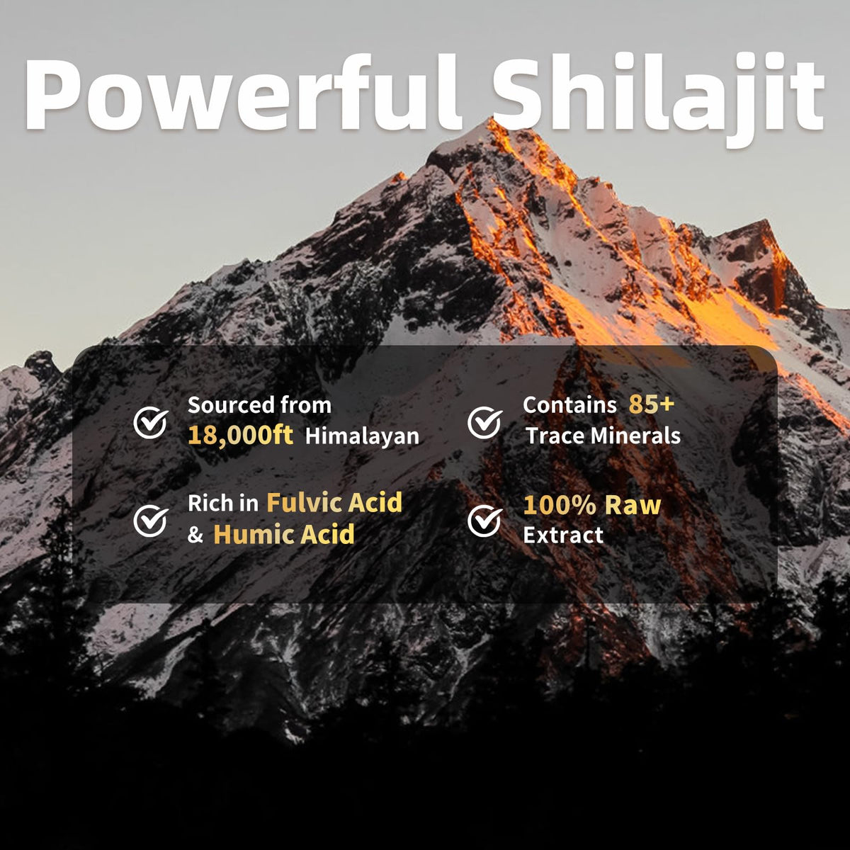 Flacon de 60 capsules de Shilajit BBEEAAUU ouvert