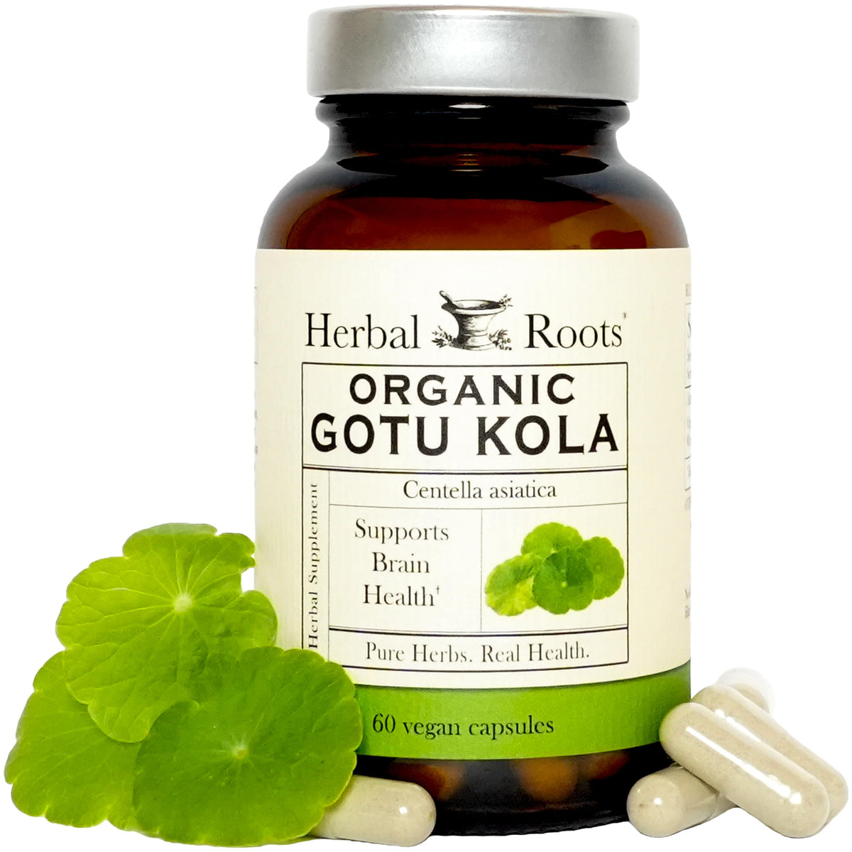 Flacon de 60 capsules végétales de Gotu Kola Herbal Roots