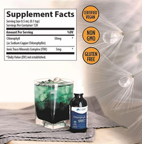 Flacon de 60 ml de chlorophylle liquide Trace Minerals avec compte-gouttes
