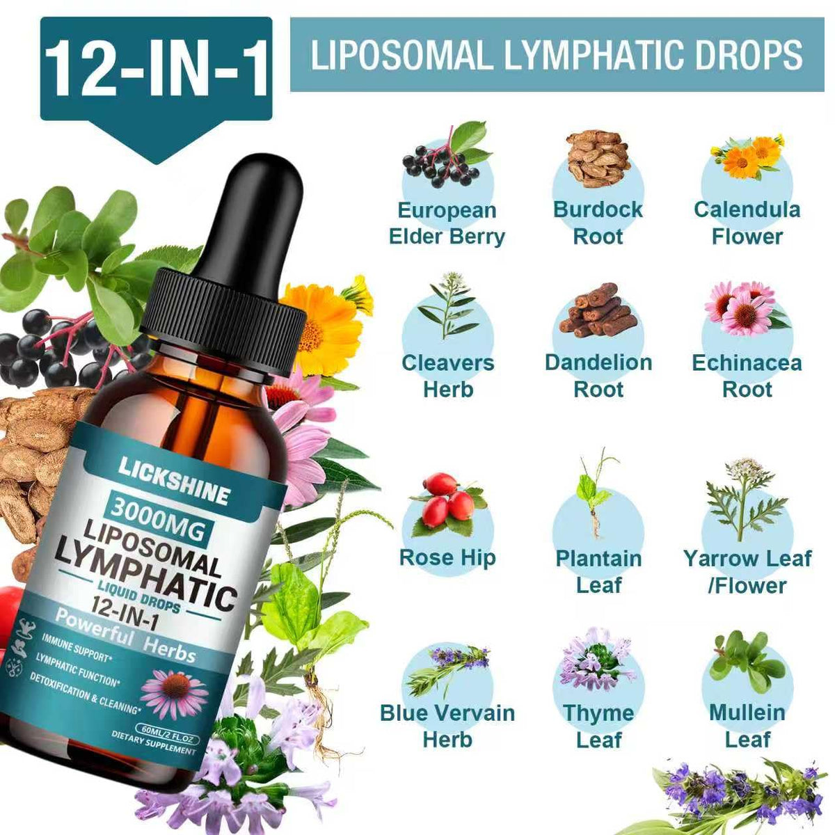 Flacon de 60 ml de Gouttes Liposomales Lickshine sur fond blanc