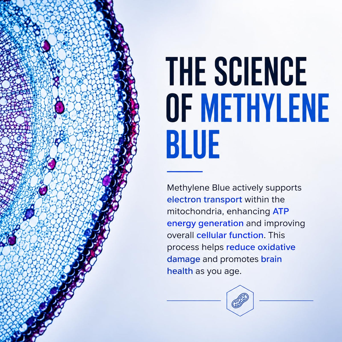 Flacon de 60mL de bleu de méthylène sur une table.