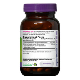 Flacon de 90 capsules d'Ashwagandha Ginkgo sur fond blanc