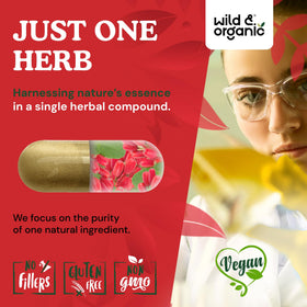 Flacon de 90 capsules de berbérine Wild & Organic sur une table