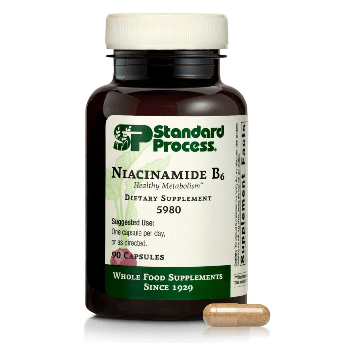 Flacon de 90 capsules Niacinamide B6 de Standard Process