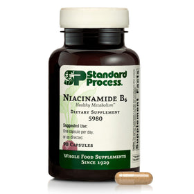 Flacon de 90 capsules Niacinamide B6 de Standard Process
