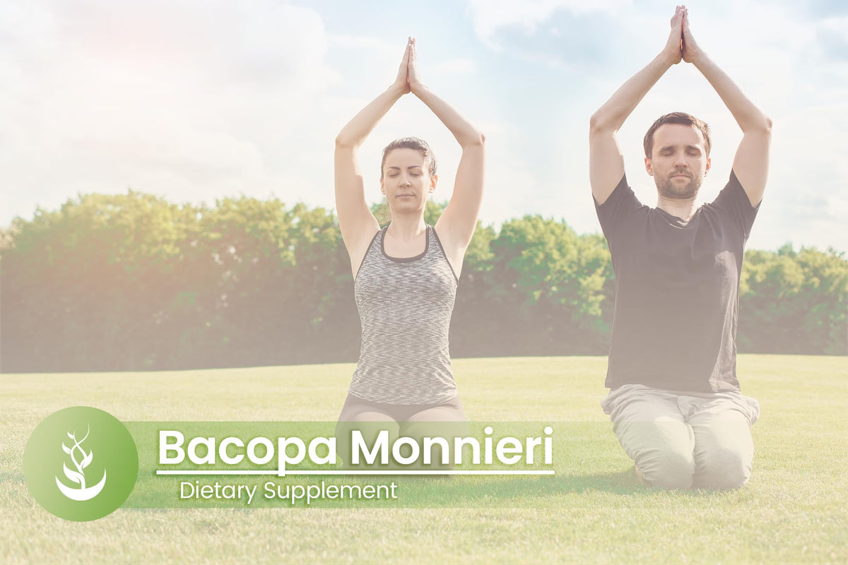 Flacon de Bacopa Monnieri ouvert avec capsules visibles