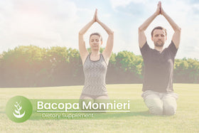 Flacon de Bacopa Monnieri ouvert avec capsules visibles