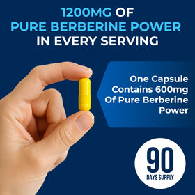 Flacon de Berbérine 1200mg ouvert avec capsules à l'intérieur