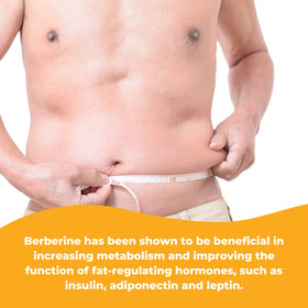 Flacon de Berberine HCL 1 500mg avec arrière-plan naturel
