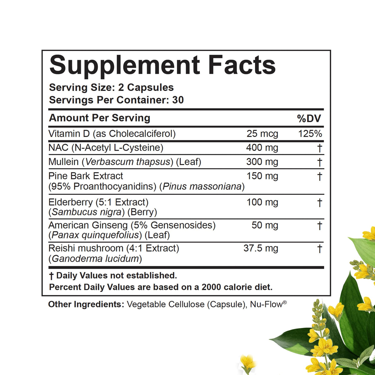 Flacon de Betterbrand BetterLungs ouvert avec capsules visibles