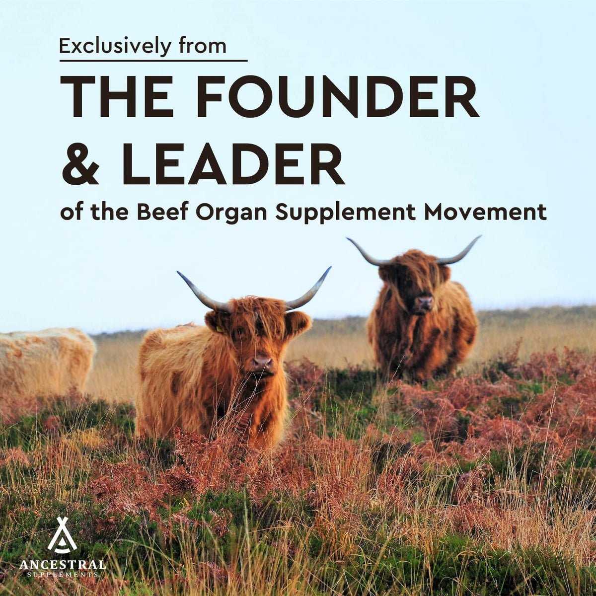 Flacon de Cœur de Bœuf Ancestral Supplements avec étiquette visible