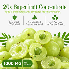 Flacon de capsules Amla JYVGNLXS avec étiquette visible