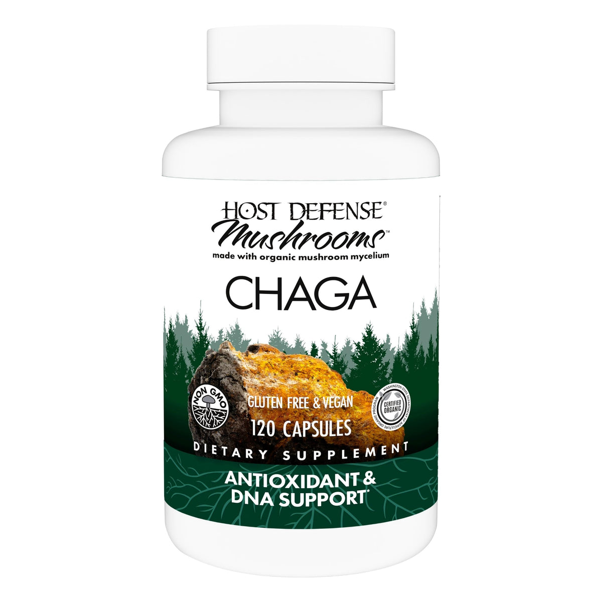 Flacon de capsules de Chaga Host Defense, 120 capsules