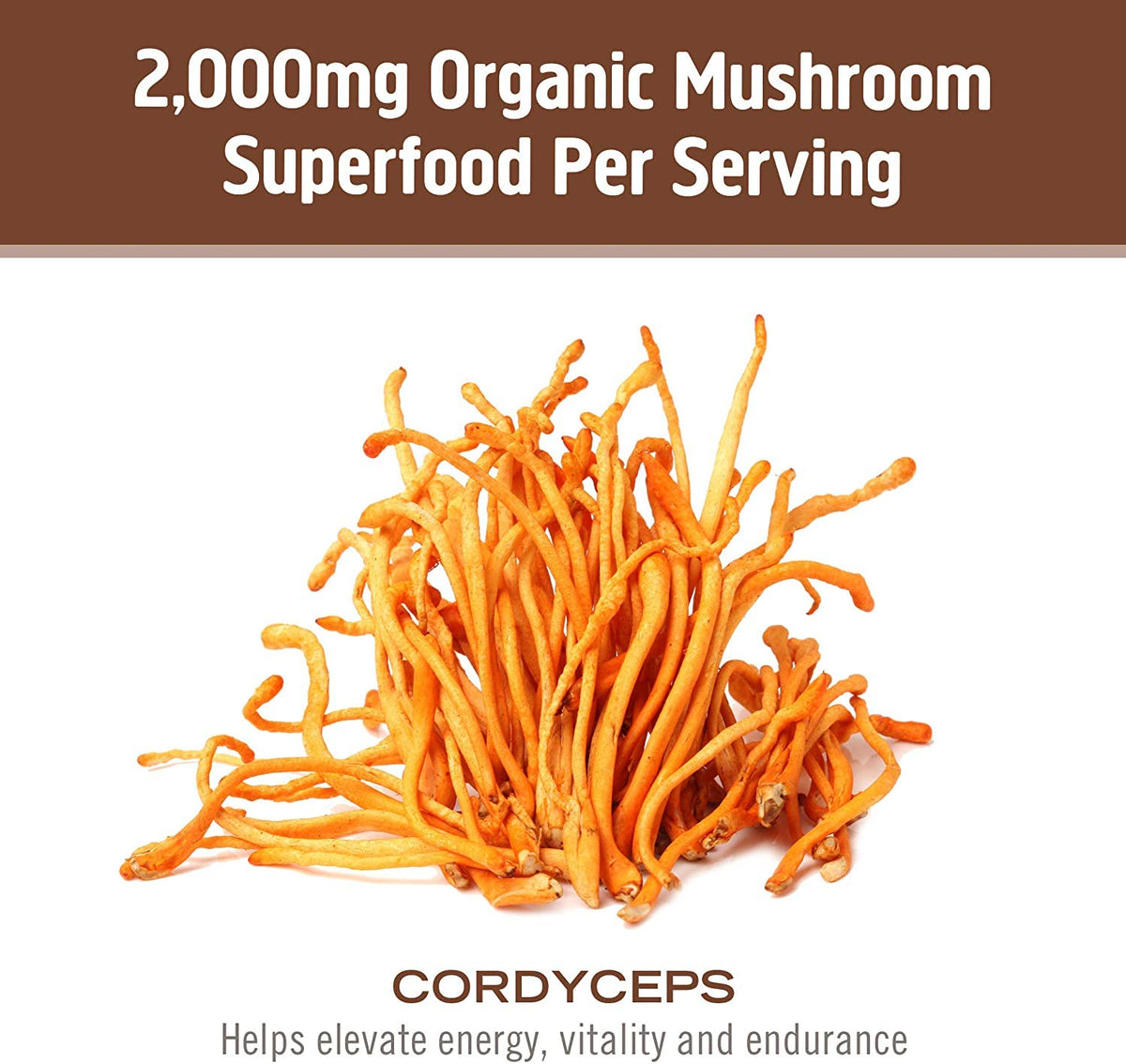 Flacon de capsules de champignon Cordyceps OM MUSHROOM SUPERFOOD sur fond blanc
