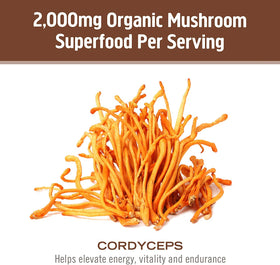 Flacon de capsules de champignon Cordyceps OM MUSHROOM SUPERFOOD sur fond blanc