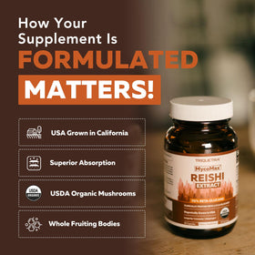 Flacon de capsules de champignon Reishi bio ouvert