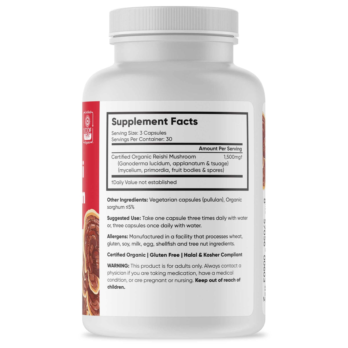 Flacon de capsules de champignon Reishi Rouge bio Brain Forza ouvert avec capsules visibles