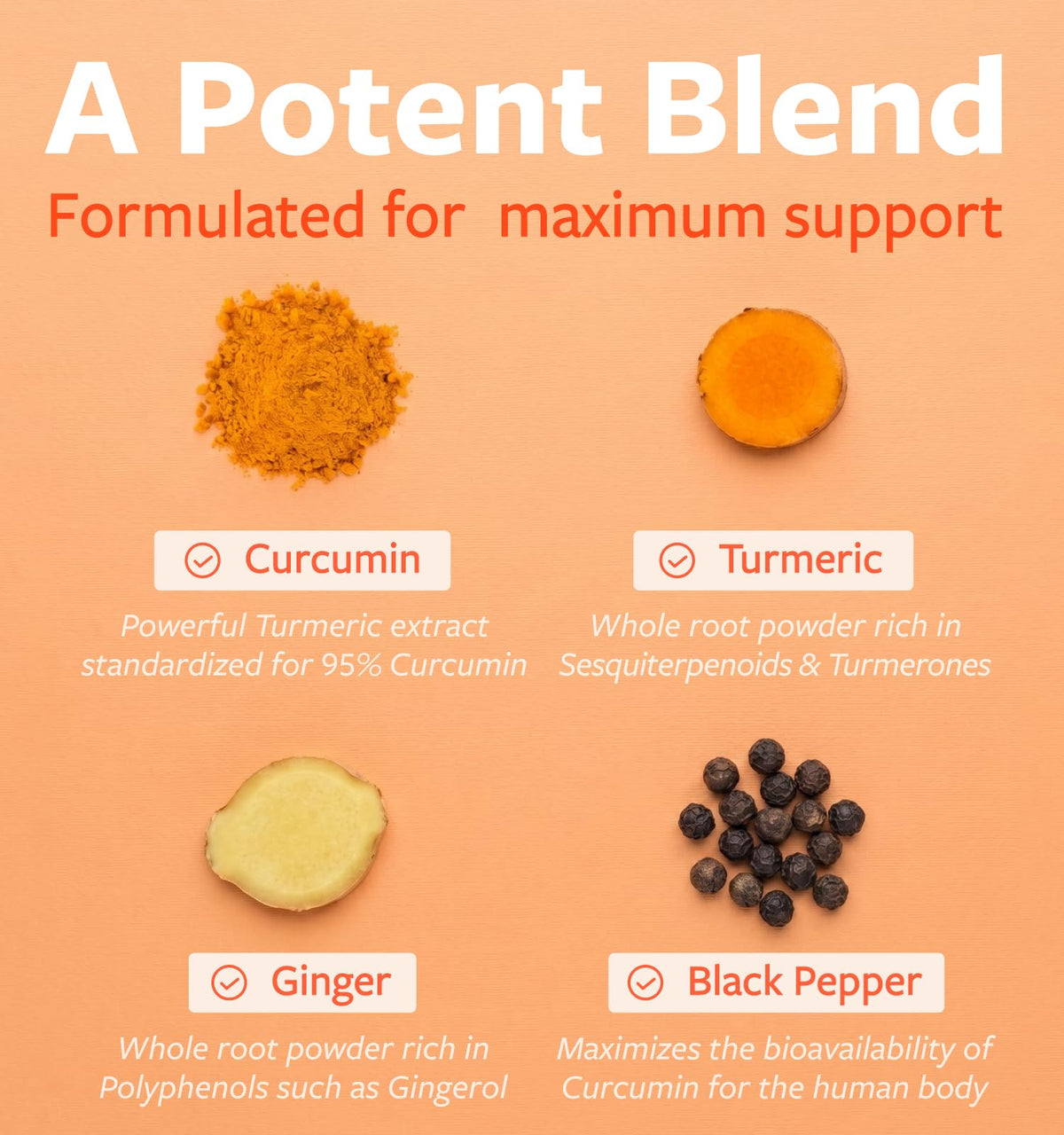 Flacon de capsules de curcuma bio PURE CO avec fond neutre