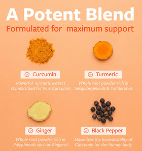 Flacon de capsules de curcuma bio PURE CO avec fond neutre