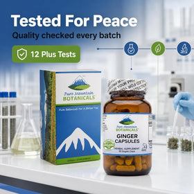 Flacon de capsules de gingembre bio avec arrière-plan naturel