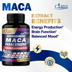 Flacon de capsules de Maca Organic Cadane sur un fond blanc