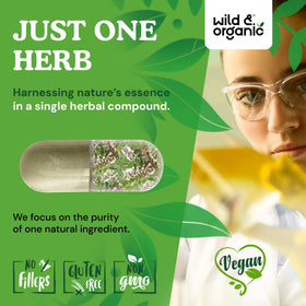 Flacon de capsules de motherwort Wild & Organic ouvert